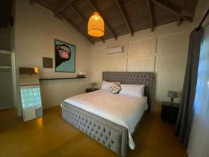 Postel nebo postele na pokoji v ubytování Hotel Villas Gaia Ecolodge