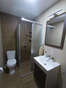 a bathroom with a shower and a toilet and a sink at Leon in Kragujevac
