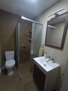 a bathroom with a shower and a toilet and a sink at Leon in Kragujevac