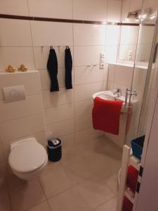 a bathroom with a toilet and a sink at Marina View in Burgtiefe auf Fehmarn 