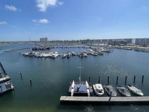 a group of boats docked at a dock in the water at Möwe in Burgtiefe auf Fehmarn 