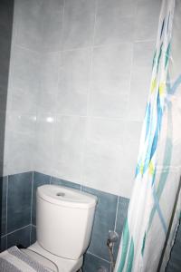 a bathroom with a toilet and a shower curtain at House Stamatis in Sarti