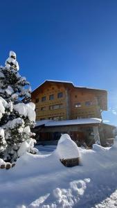 a snow covered pine tree in front of a building at Colorado Riders Chalet in Crans-Montana