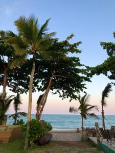 a view of the ocean from a resort with palm trees at Pousada Casa da Praia in Caraíva