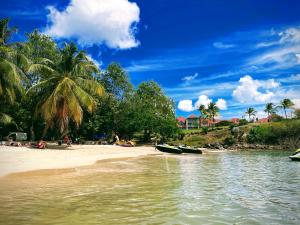 a beach with a group of people and palm trees at Appartement Madinina 6 personnes vue sur mer dans village vacances in Sainte-Luce