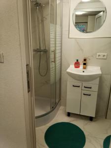 a bathroom with a shower and a sink and a mirror at Apartment Malti in Laufenburg