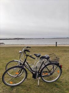 a bike parked on the grass near the water at FeWo Eggers 1 in Burgtiefe auf Fehmarn 