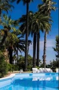a swimming pool with palm trees in the background at Sunset House Costiera Sorrentina in Vico Equense