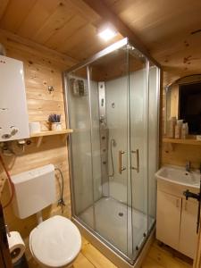 a bathroom with a shower with a toilet and a sink at Floating House Perućac in Perućac
