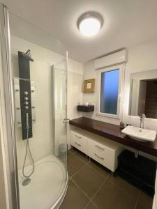 Een badkamer bij Superbe maison Châtillon-Le-Duc