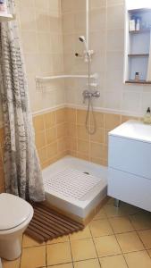 La salle de bains est pourvue d'une douche et de toilettes. dans l'établissement Appartement de 50m2, climatisé avec terrasse et parking, à Castelnau-le-Lez