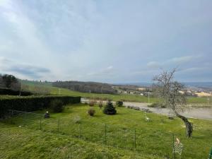 ein Feld mit grünem Gras und einem Zaun in der Unterkunft Superbe maison Châtillon-Le-Duc 