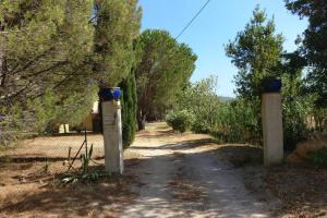Zdjęcie z galerii obiektu LES VIGNES ET LA PINEDE PRES DE LA PLAGE w Saint-Tropez