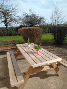 un tavolo da picnic in legno con due piante in vaso di Grande Maison de plain pied avec jardin arboré. a Champignelles