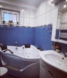 Kylpyhuone majoituspaikassa Vila Jovanovic