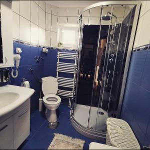 a blue bathroom with a toilet and a shower at Vila Jovanovic in Barajevo
