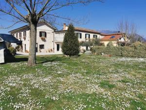 ein großer Garten mit weißen Blumen vor einem Haus in der Unterkunft Casa Vacanze Minula - Indipendent Country House in Carnello