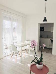a white living room with a white table and chairs at Belvárosi Stúdió Apartman in Kecskemét