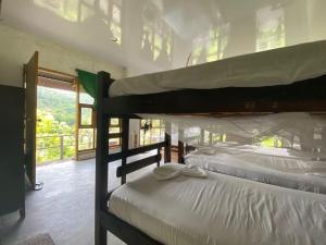 two bunk beds in a room with a window at Hostal Mama Tayrona in Santa Marta