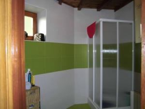ein Bad mit einer Dusche mit grünen und weißen Wänden in der Unterkunft Casa rural El Huerto. Las mascotas son bienvenidas in Soto del Barco