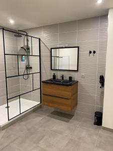 a bathroom with a sink and a shower at Maison face à la cité in Carcassonne