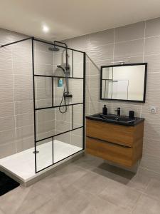 a bathroom with a sink and a shower at Maison face à la cité in Carcassonne