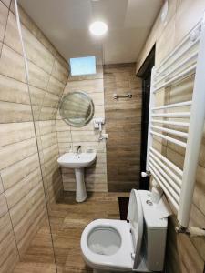 カズベギにあるEmotion Kazbegiのバスルーム(トイレ、洗面台付)