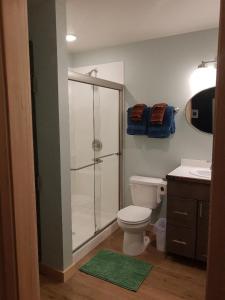 a bathroom with a shower and a toilet and a sink at Lupine Cabin - Homer Seaplane Base in Homer