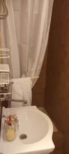 ein Badezimmer mit einem weißen Waschbecken und einem Duschvorhang in der Unterkunft Nona Ružica in Vis