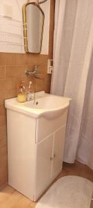ein Badezimmer mit einem weißen Waschbecken und einem Spiegel in der Unterkunft Nona Ružica in Vis