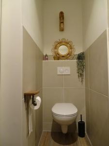 La salle de bains est pourvue de toilettes et d'un miroir. dans l'établissement B&B Het Molensteegje, à Andijk