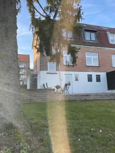 ein Haus mit einem Baum im Hof mit einem Haus in der Unterkunft H2 Free Parking, budget friendly in Aalborg