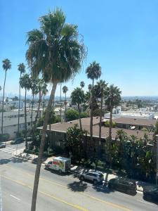 uitzicht op een straat met palmbomen en een vrachtwagen bij Hollywood Awesome Stay Free parking in Los Angeles