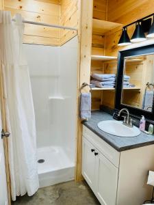 een badkamer met een douche, een wastafel en een bad bij Knotty Squirrel Cabins in Mountain View