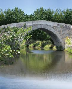 un puente de piedra sobre un cuerpo de agua en Casa Senhor da Ponte en Mondim de Basto