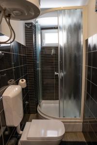 een badkamer met een douche, een toilet en een wastafel bij Rovigno tesoro 1 in Rovinj