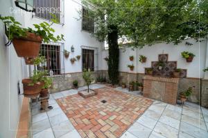 Ogród w obiekcie Cortijo El Segador y El Capricho