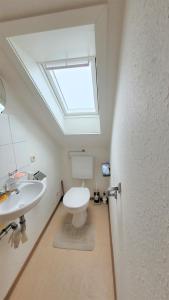 a bathroom with a toilet and a sink and a skylight at Ferienwohnung am Schwarzwaldrand in Nagold