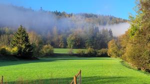 um campo de relva verde com cerca e árvores em Ferienwohnung am Schwarzwaldrand em Nagold