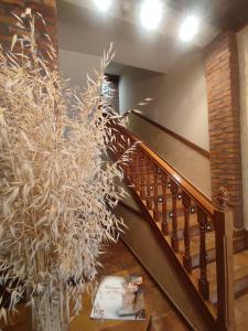 a room with a staircase with a large plant at Hostal la Cepa in Aldeanueva de Ebro
