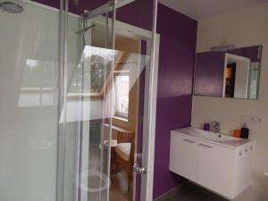 a bathroom with a shower and a sink at Het Takketiele Huis in Lochristi