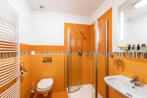 a bathroom with a shower and a toilet and a sink at Penzion a Restaurant Barbora in Kutná Hora