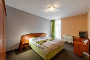 a bedroom with a bed and a desk and a television at Penzion a Restaurant Barbora in Kutná Hora