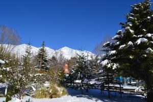 a snow covered mountain in the distance with trees w obiekcie SilverCord B&B w mieście Potrerillos