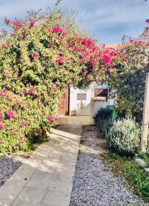 un jardín con flores rosas en un edificio en Lavender Lodge Almeria, en Arboleas