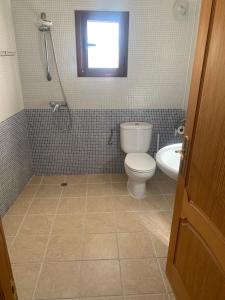 a bathroom with a toilet and a shower and a sink at Lavender Lodge Almeria in Arboleas