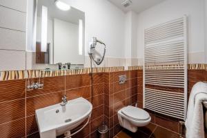 a bathroom with a toilet and a sink at Penzion a Restaurant Barbora in Kutná Hora