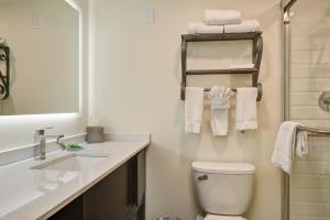 Bagno di Holiday Inn - Piscataway - Somerset by IHG
