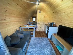 In The Stix Glamping Pod في كريغالّاكي: غرفة معيشة مع أريكة ومطبخ