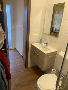 bagno con lavandino, servizi igienici e specchio di Beugró Lak a Esztergom